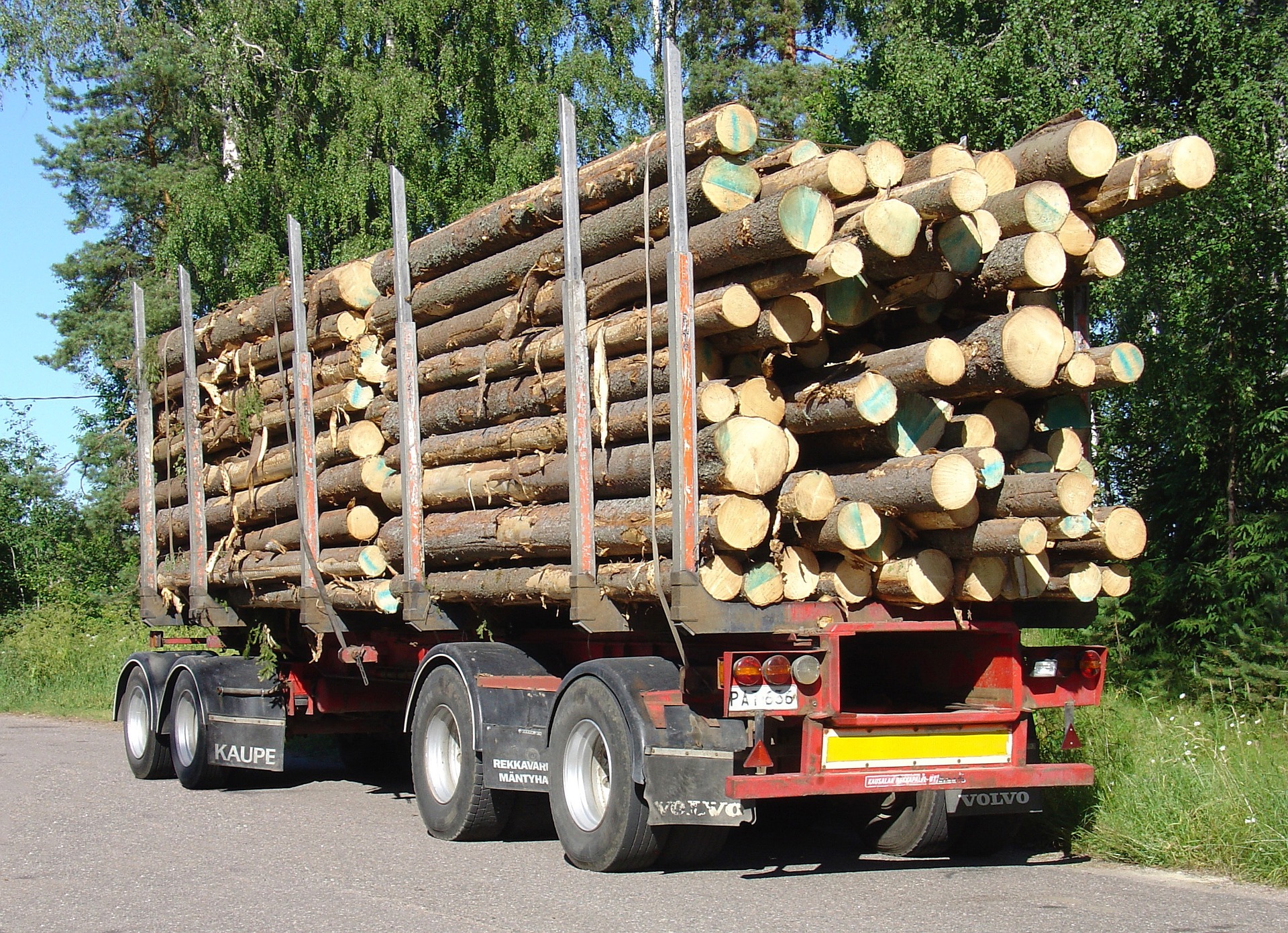 Breeze-Transporteur de bois de chauffage grand sac de transport de